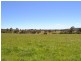 Lot 14 Thompsons Creek Road, Pipers Flat NSW 2847