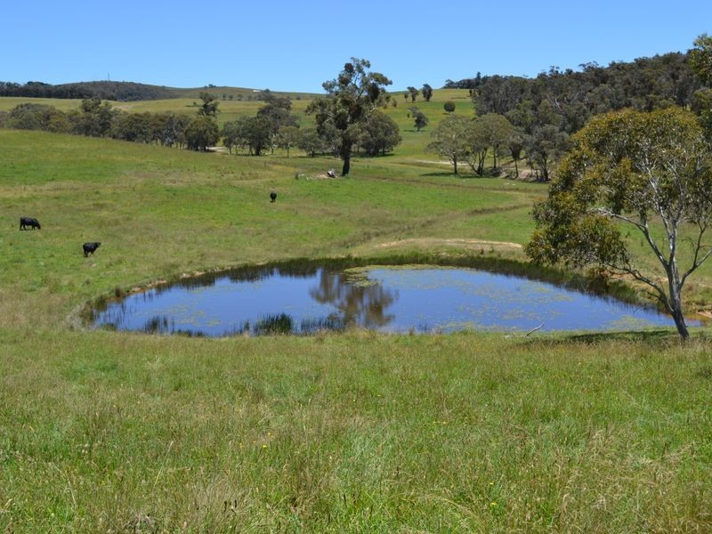 Lot 14 Thompsons Creek Road, Pipers Flat NSW 2847