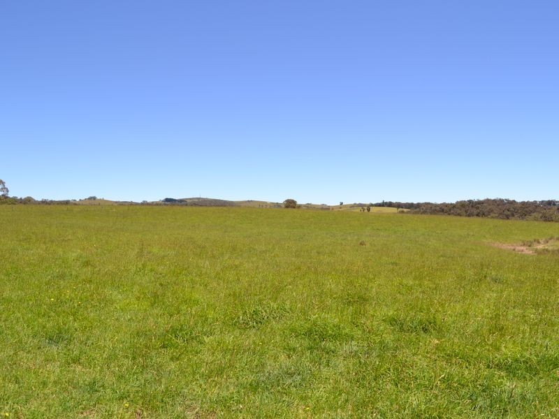 Lot 14 Thompsons Creek Road, Pipers Flat NSW 2847