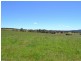Lot 14 Thompsons Creek Road, Pipers Flat NSW 2847