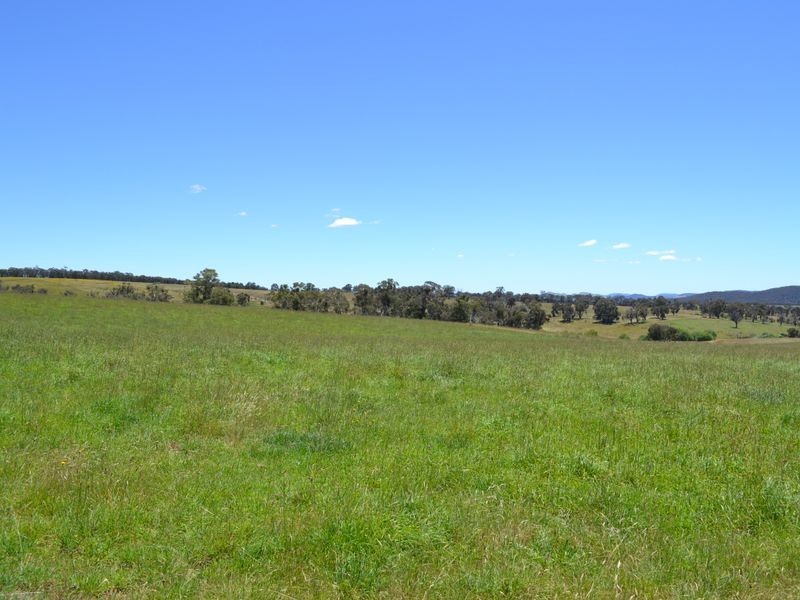 Lot 14 Thompsons Creek Road, Pipers Flat NSW 2847