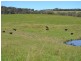 Lot 14 Thompsons Creek Road, Pipers Flat NSW 2847