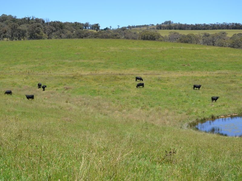 Lot 14 Thompsons Creek Road, Pipers Flat NSW 2847