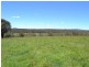 Lot 14 Thompsons Creek Road, Pipers Flat NSW 2847