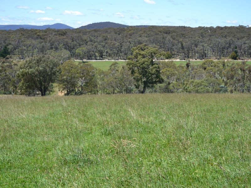 Lot 14 Thompsons Creek Road, Pipers Flat NSW 2847