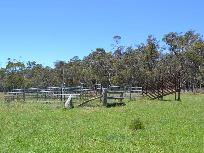 Lot 14 Thompsons Creek Road, Pipers Flat NSW 2847