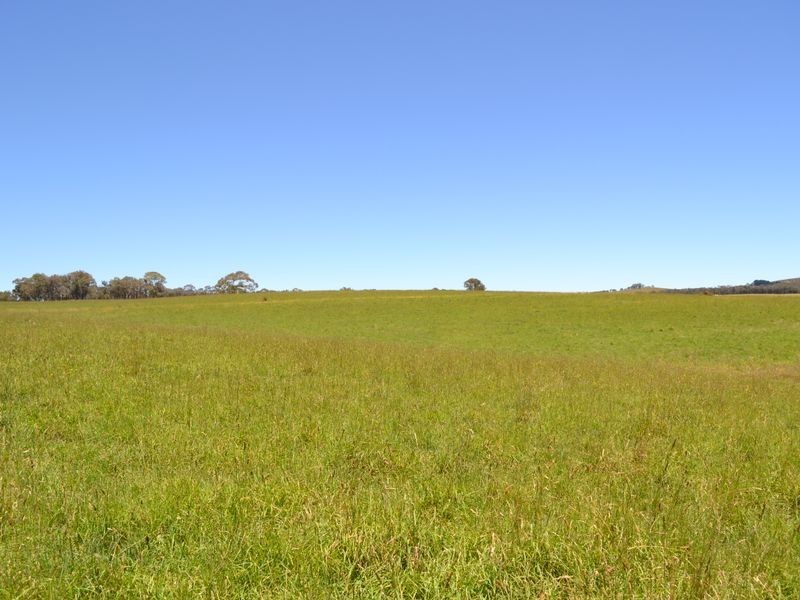 Lot 14 Thompsons Creek Road, Pipers Flat NSW 2847