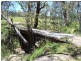 Lot 14 Thompsons Creek Road, Pipers Flat NSW 2847