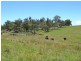 Lot 14 Thompsons Creek Road, Pipers Flat NSW 2847