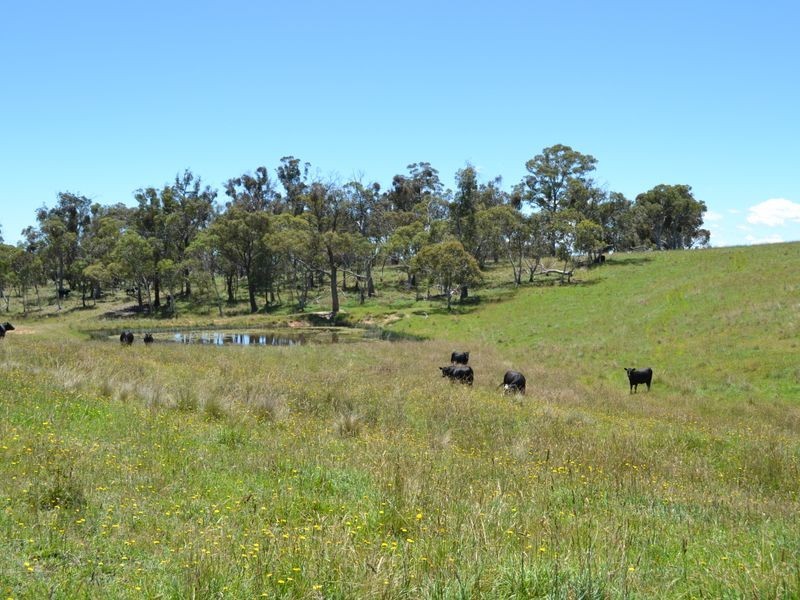 Lot 14 Thompsons Creek Road, Pipers Flat NSW 2847