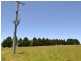 Lot 14 Thompsons Creek Road, Pipers Flat NSW 2847
