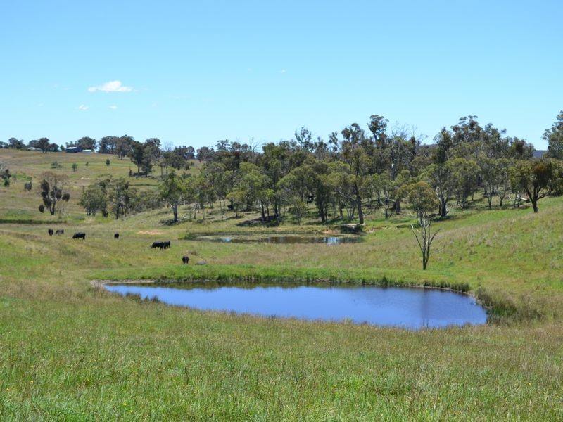 Lot 15 Thompsons Creek Road, Pipers Flat NSW 2847