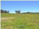 Lot 15 Thompsons Creek Road, Pipers Flat NSW 2847