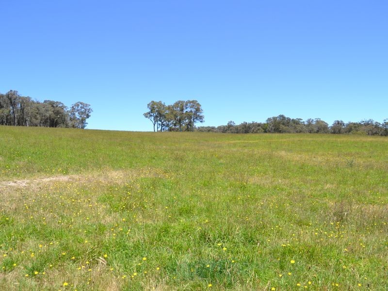 Lot 15 Thompsons Creek Road, Pipers Flat NSW 2847