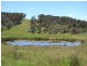 Lot 15 Thompsons Creek Road, Pipers Flat NSW 2847