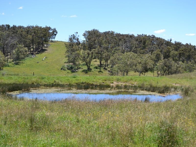 Lot 15 Thompsons Creek Road, Pipers Flat NSW 2847
