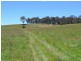 Lot 15 Thompsons Creek Road, Pipers Flat NSW 2847