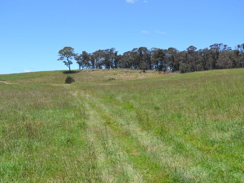 Lot 15 Thompsons Creek Road, Pipers Flat NSW 2847