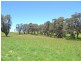 Lot 15 Thompsons Creek Road, Pipers Flat NSW 2847
