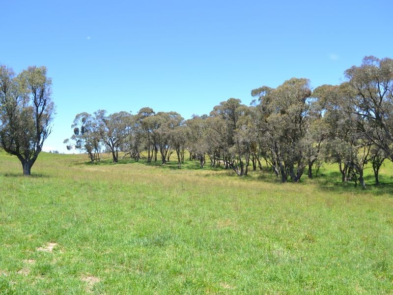 Lot 15 Thompsons Creek Road, Pipers Flat NSW 2847