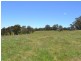 Lot 15 Thompsons Creek Road, Pipers Flat NSW 2847