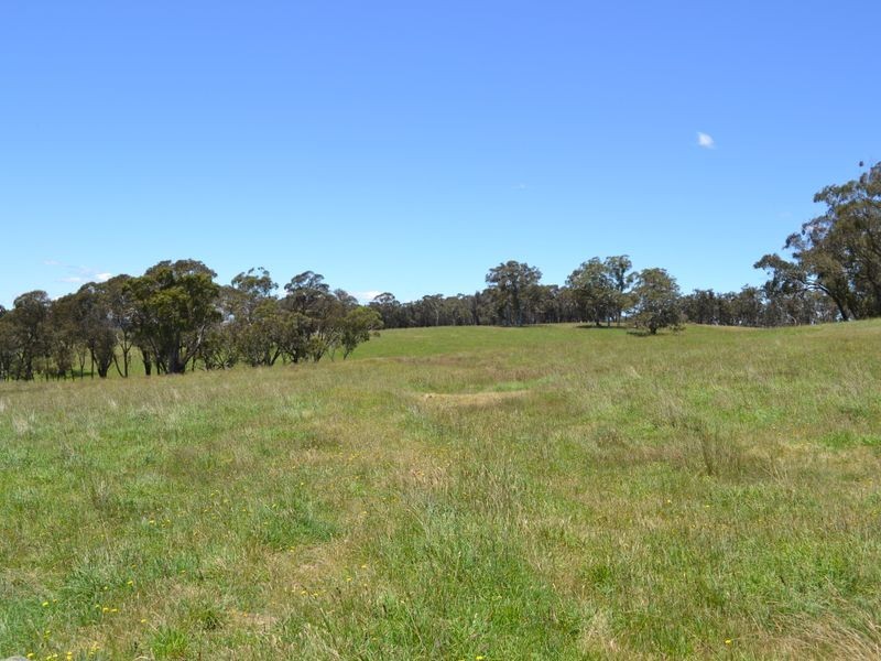 Lot 15 Thompsons Creek Road, Pipers Flat NSW 2847