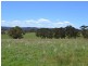 Lot 15 Thompsons Creek Road, Pipers Flat NSW 2847