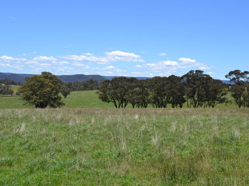 Lot 15 Thompsons Creek Road, Pipers Flat NSW 2847