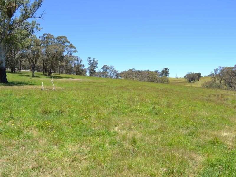 Lot 15 Thompsons Creek Road, Pipers Flat NSW 2847