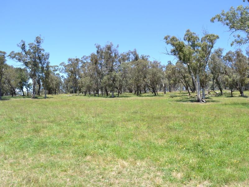 Lot 15 Thompsons Creek Road, Pipers Flat NSW 2847