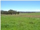 Lot 15 Thompsons Creek Road, Pipers Flat NSW 2847
