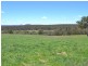 Lot 15 Thompsons Creek Road, Pipers Flat NSW 2847