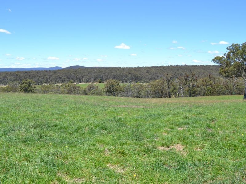 Lot 15 Thompsons Creek Road, Pipers Flat NSW 2847