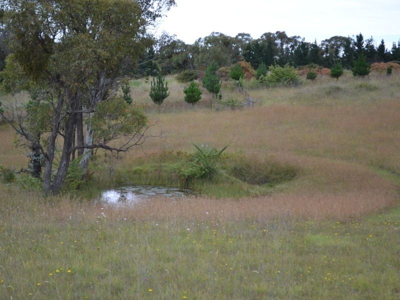 Lot 325 Cullen Bullen Road, Portland NSW 2847