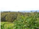 38 B Morris Place, Little Hartley NSW 2790