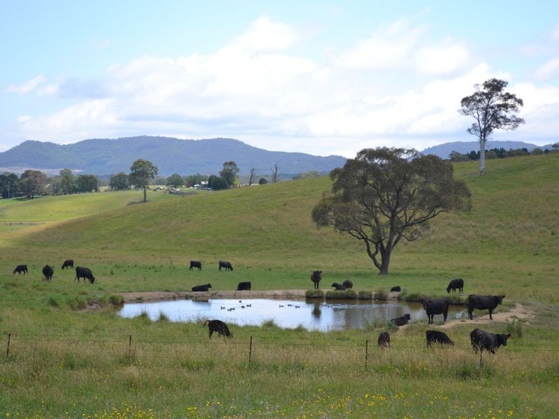 Lot 6 Back Cullen Road, Portland NSW 2847