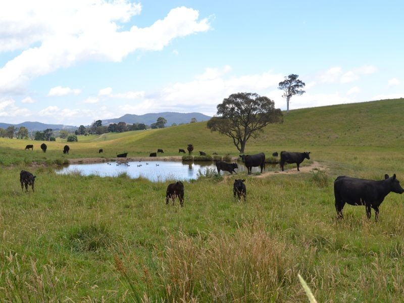 Lot 6 Back Cullen Road, Portland NSW 2847