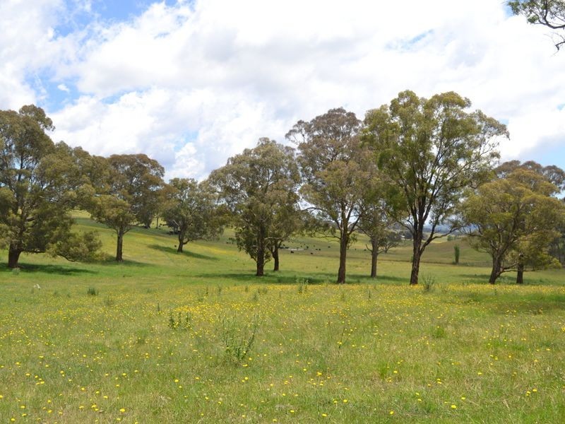 Lot 6 Back Cullen Road, Portland NSW 2847
