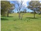 Lot 6 Back Cullen Road, Portland NSW 2847