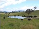 Lot 6 Back Cullen Road, Portland NSW 2847