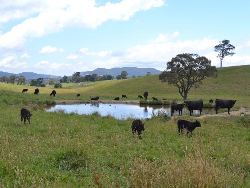 Lot 6 Back Cullen Road, Portland NSW 2847