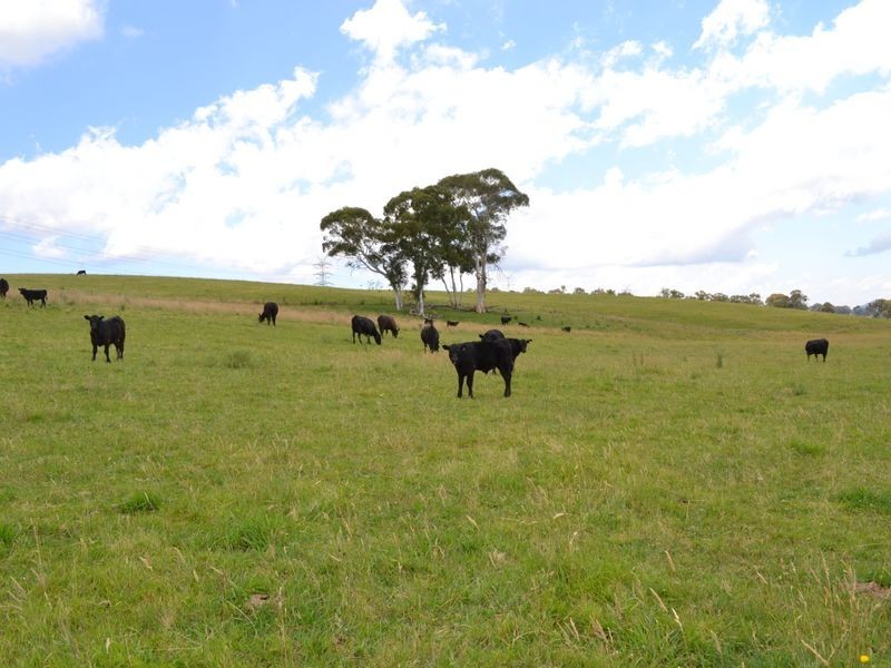 Lot 6 Back Cullen Road, Portland NSW 2847