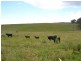 Lot 6 Back Cullen Road, Portland NSW 2847