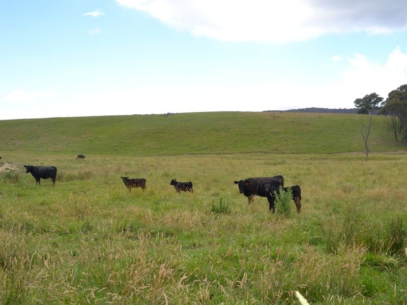 Lot 6 Back Cullen Road, Portland NSW 2847