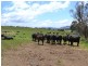 Lot 6 Back Cullen Road, Portland NSW 2847