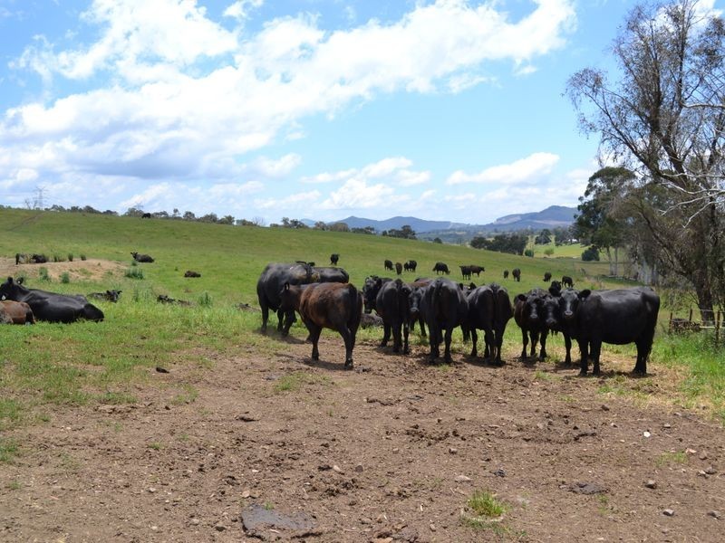 Lot 6 Back Cullen Road, Portland NSW 2847