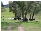 Lot 6 Back Cullen Road, Portland NSW 2847