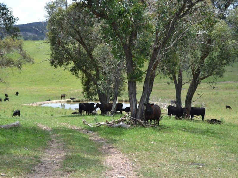 Lot 6 Back Cullen Road, Portland NSW 2847
