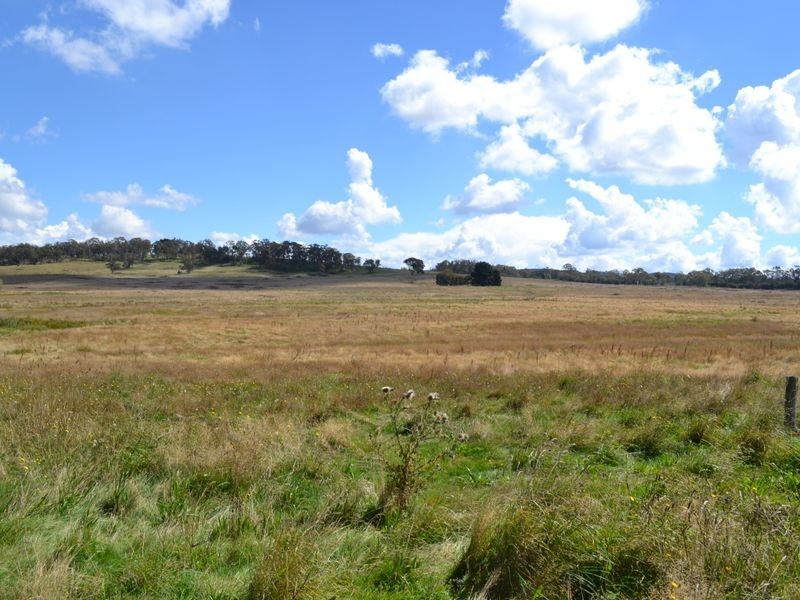 135 Old Western Road, Mount Lambie NSW 2790