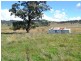 135 Old Western Road, Mount Lambie NSW 2790